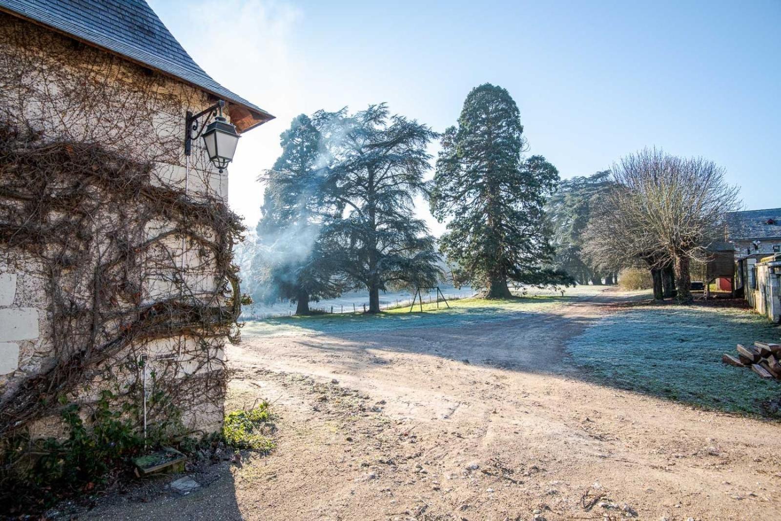 16Th Century Hunting Lodge - Chateau De Nitray Athée-sur-Cher Eksteriør billede